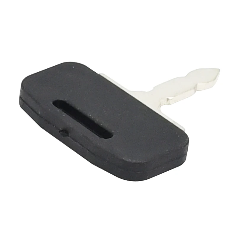 2 Pcs Ignition Key 1695447M1 3813361M1 Compatible with Massey Ferguson Tractor 20 D 20 F 230 235 240 245 250 255 265 135 148