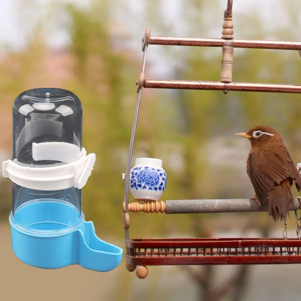 Multipurpose 2 Colors Parrot Pigeon Pet Bird Automatic Water Feeder Pet