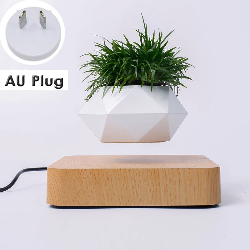 AU Plug