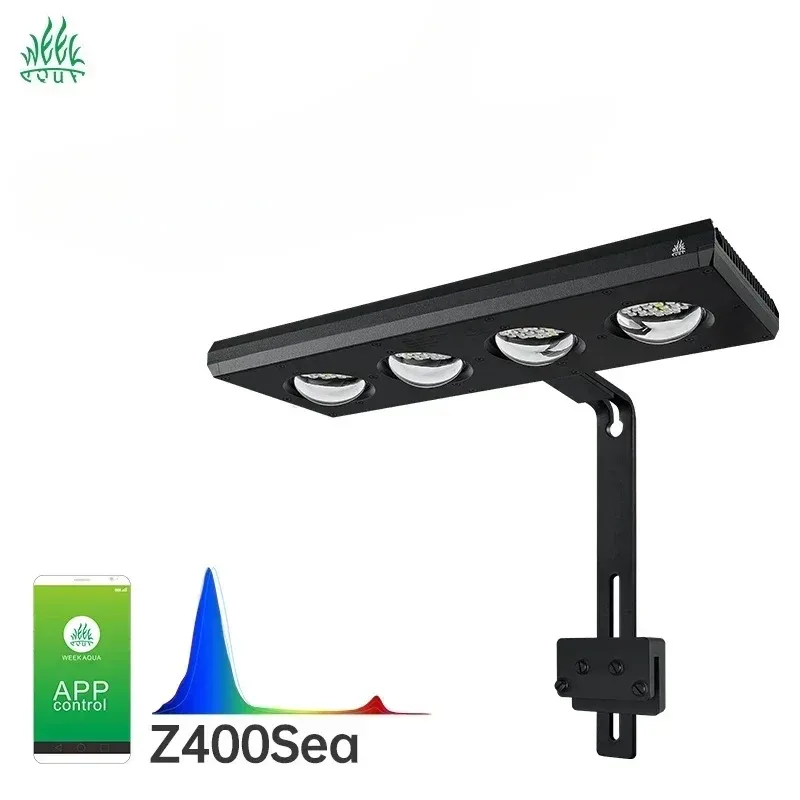 S8050290b6f1f4deb96da86e809709