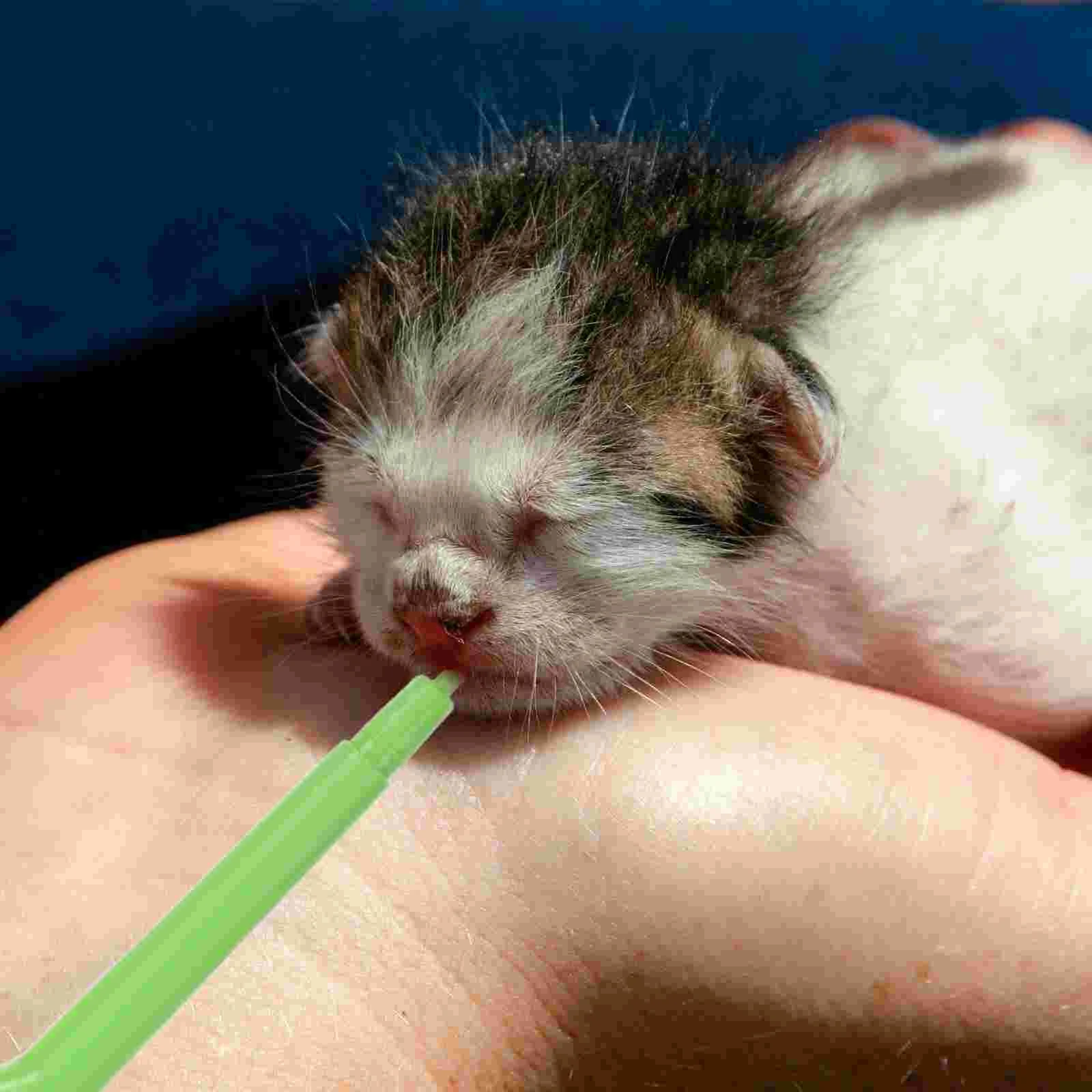 Manual Medicine Feeder Pet Food Feeder Pet Medicine Assistant Dog Treats Vitamin Cat Pill Shooter Small Pill Dispenser