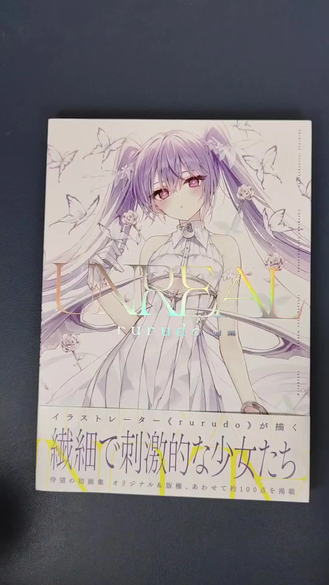 Rurudo Art Collection Atlas Book Illustration Painting
