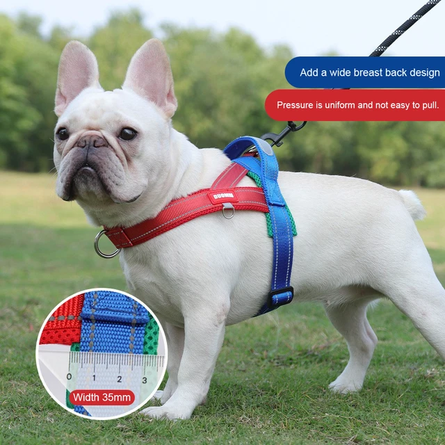 French Bulldog Harness - No-Pull Padded Vest, Escape-Proof Chest Plate, Breathable Mesh for Flat-Faced Breeds 3