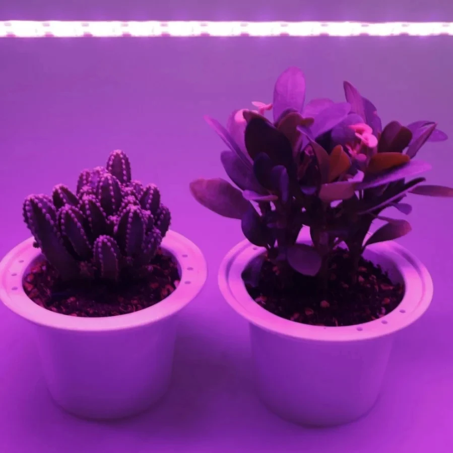DC 5V USB LED 성장 조명, 식물 조명 성장 LED 스트립 식물 램프, 야채 꽃 묘목 성장 텐트, 전체 스펙트럼 1-5m
