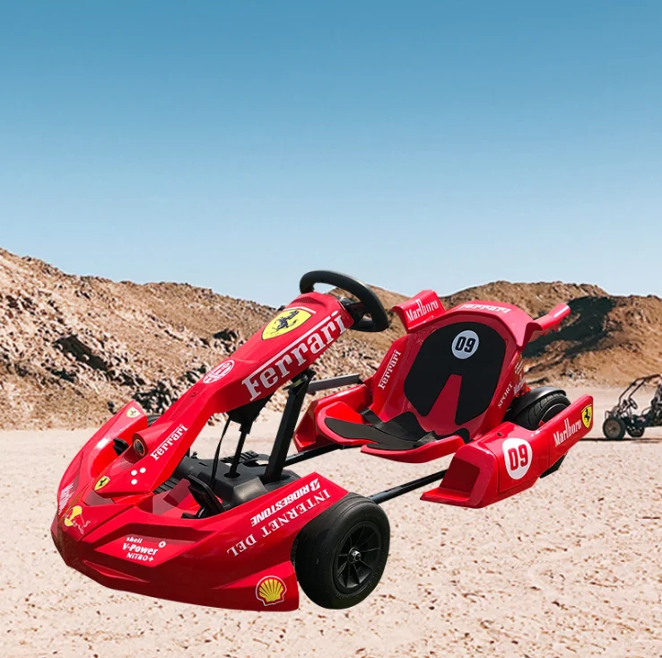 Go kart eléctrico profesional, 250W * 2 54V, 250cc, novedad de 2021 ...