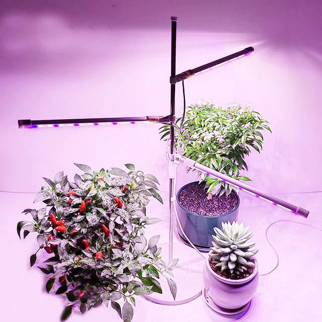 Lampe LED de croissance pour plantes d'intérieur, rouge et bleu