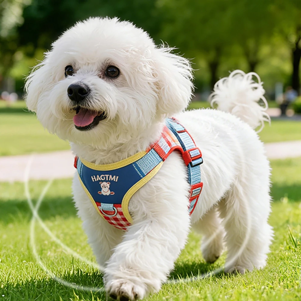 Adjustable Dog Harness And Leash Set For Small Dogs Walking_voghion.com