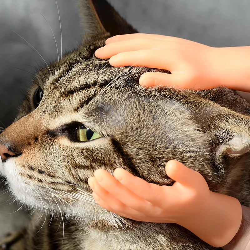 고양이 핑키 세트, 재미있는 고양이 플라스틱 장갑, 고무 실리콘 마사지, 왼손 및 오른손, 재미있는 고양이 장난감