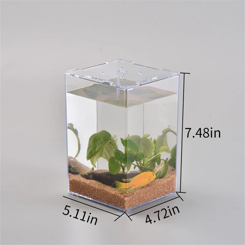 Desktop Creative Fish Tank Fighting Fish Small Micro Landscape Tank Acrylic  Transparent Plastic Fish Box Simple Ecological Tank