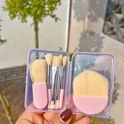 6 - Piece Mini Professional Makeup Brush Set - Portable Beauty Tools (Pink)
