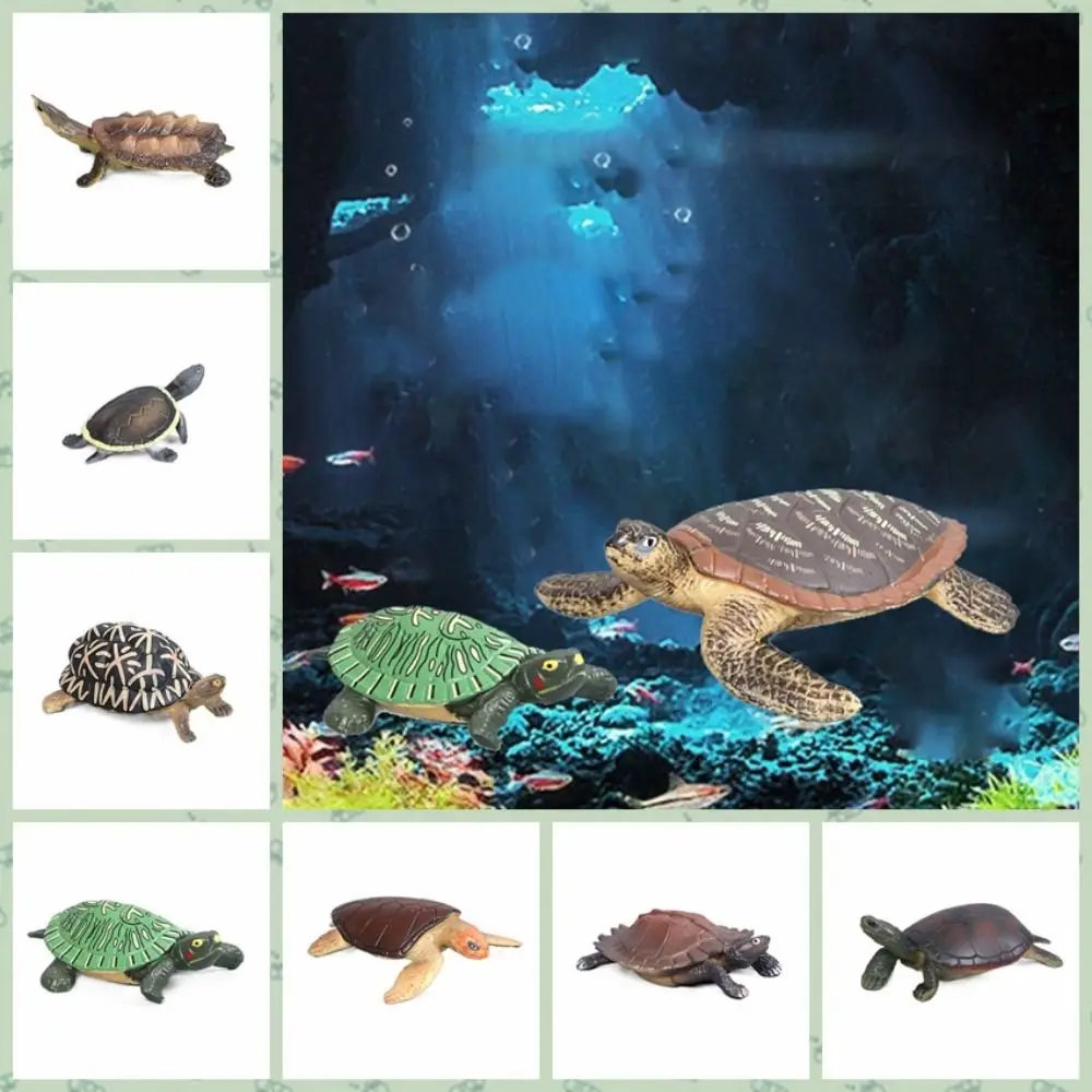 Realistic Miniatures Marine Life Sea Turtle Model Ocean Animal Tortoise Figurines Aquarium Decoration Fish Tank Accessories Toys fish tank ornaments fish tank decorations aquarium ornaments