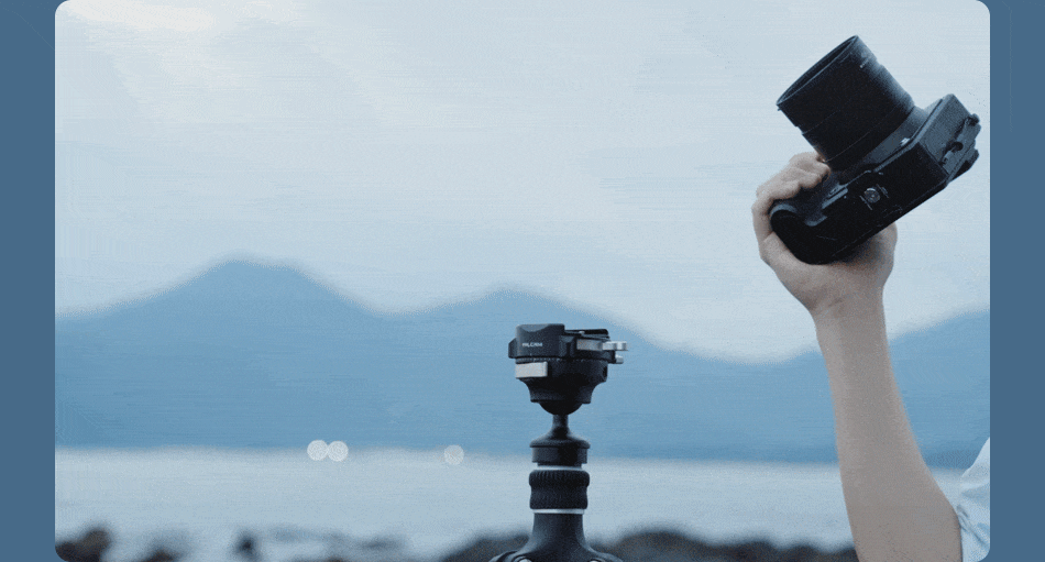 Description Picture 6 of itemFALCAM F38 Pro Quick Release Trigger Inverted Ball Head (320P) F38B4303 For Professional Tripods Accessories Video Photography