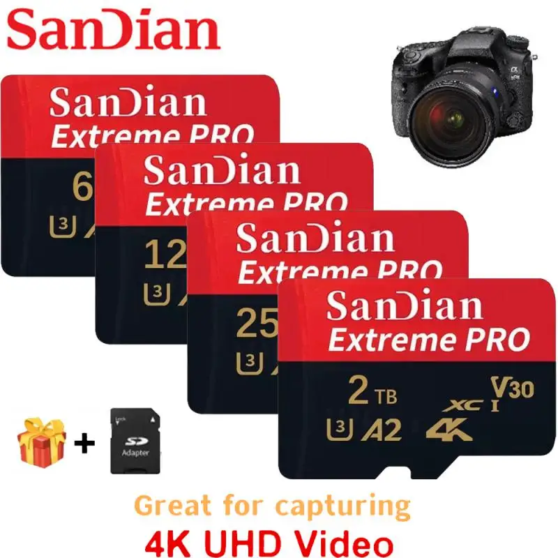 Scheda Di Memoria 2Tb 1Tb A2 Class10 Mini Sd Card 512Gb 256Gb Tf Flash Card 128Gb Per Nintendo Switch Phone Car Device Monitor