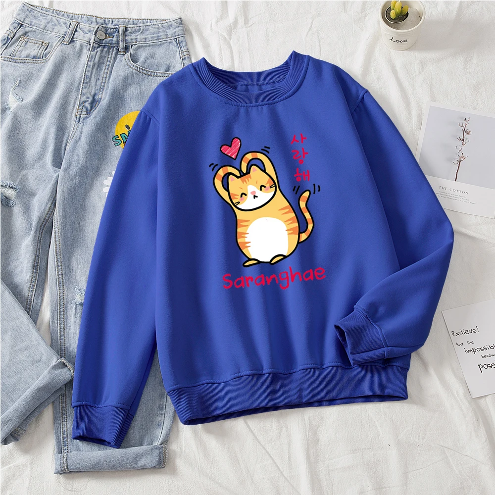 blue korean kawaii cat sweatshirt kitty sweatshirt