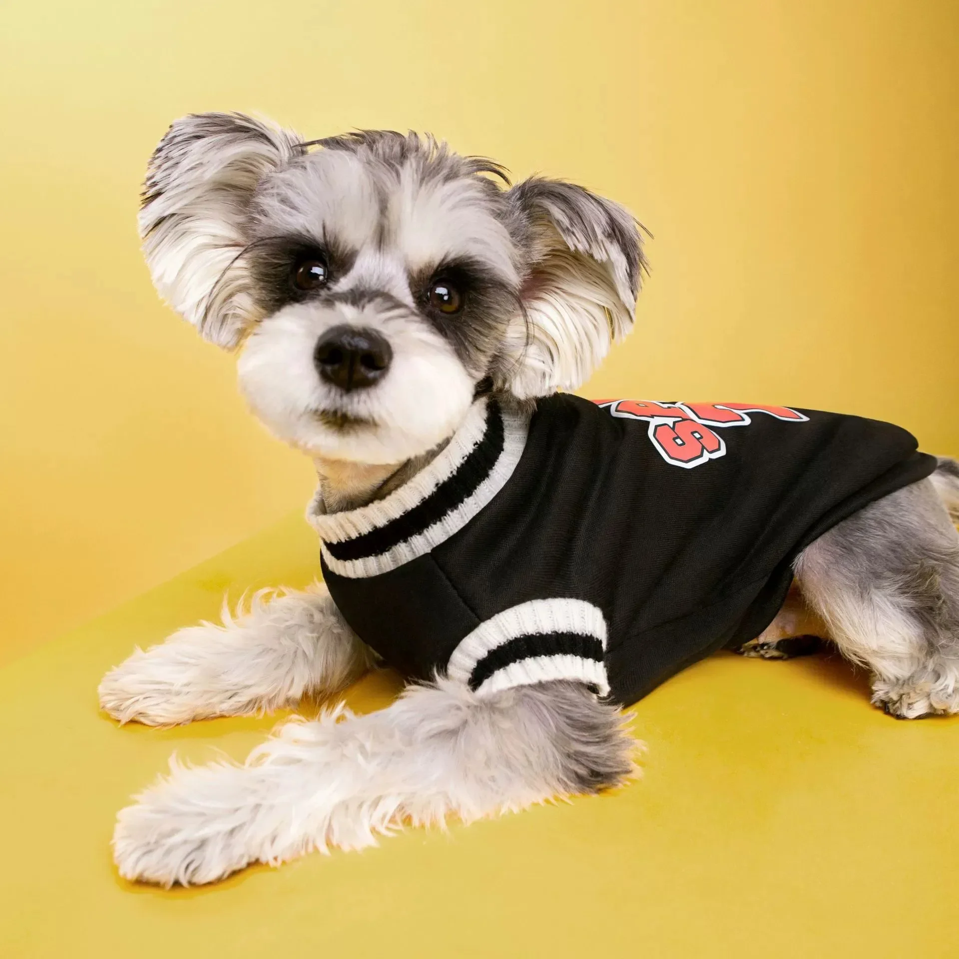 1922-139808.jpg Autumn and Winter Pet Fashion Sweater School Style Dog Clothes Small and Medium Dog Fleece Warm Sweater