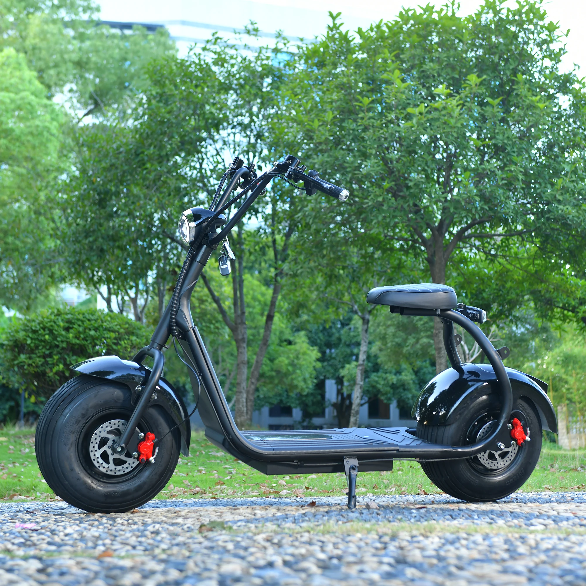 EHOODAX Citycoco Electric Scooter Max Speed 45KM/H 1000W