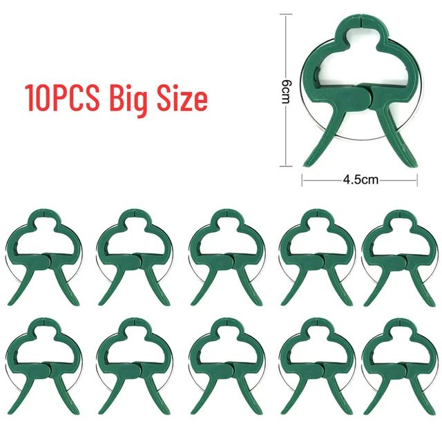 10pcs Big
