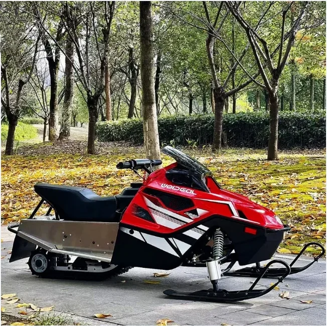 4 Stroke 300cc Chinese Kids Children Snowmobile Gasoline Snowscooter