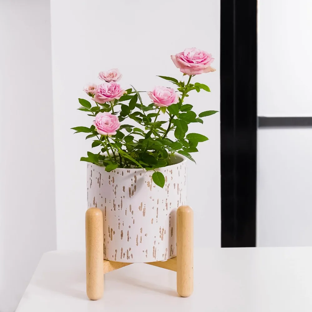 

Flower pot ceramic round ceramic and wood flower pot and stand set