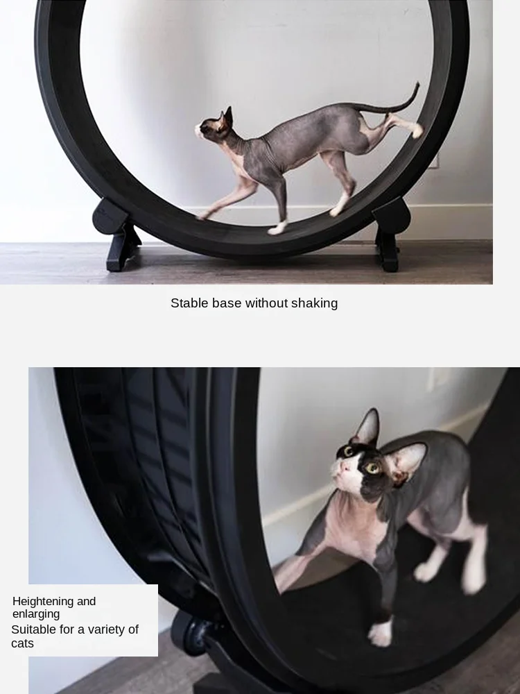 Big cat wheel sales