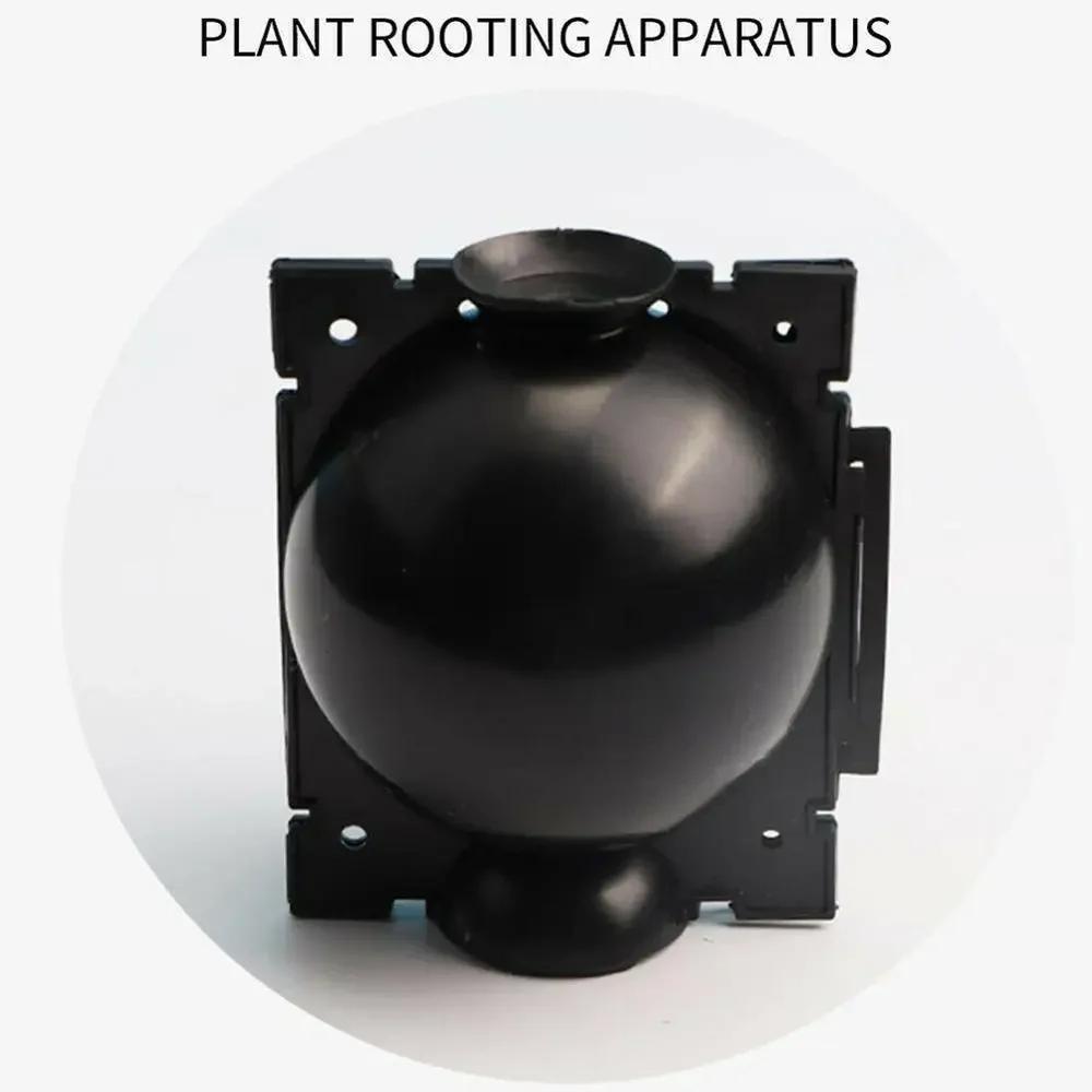 5pcs Plant Rooting Ball Grafting Rooting Box Breeding Case Plant Root Growing Box Garden 5/8cm In Diameter planting tools
