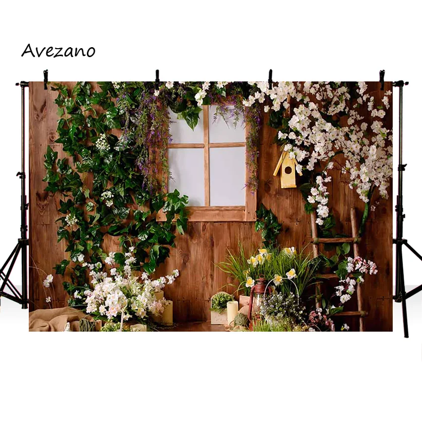 Avezano-  ׸ ܵ    , Ű ʻȭ    Ʃ 