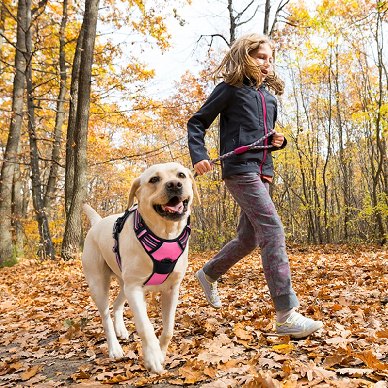 Arnês de segurança reflexivo para cão, Colar ajustável do treinamento do cão, Esporte ao ar livre, No Pull Vest, Pet Items