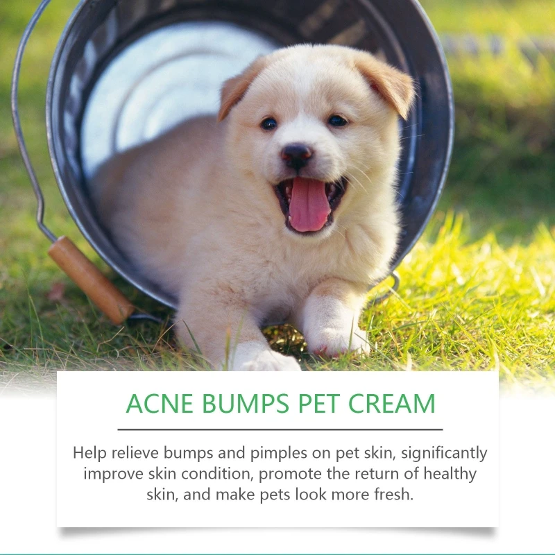 Cats Skin Cream Provide Itching Relief Pet Skin Acnes&Bumps Supplies Control & Help Redness Protects and Heal Itch 25g