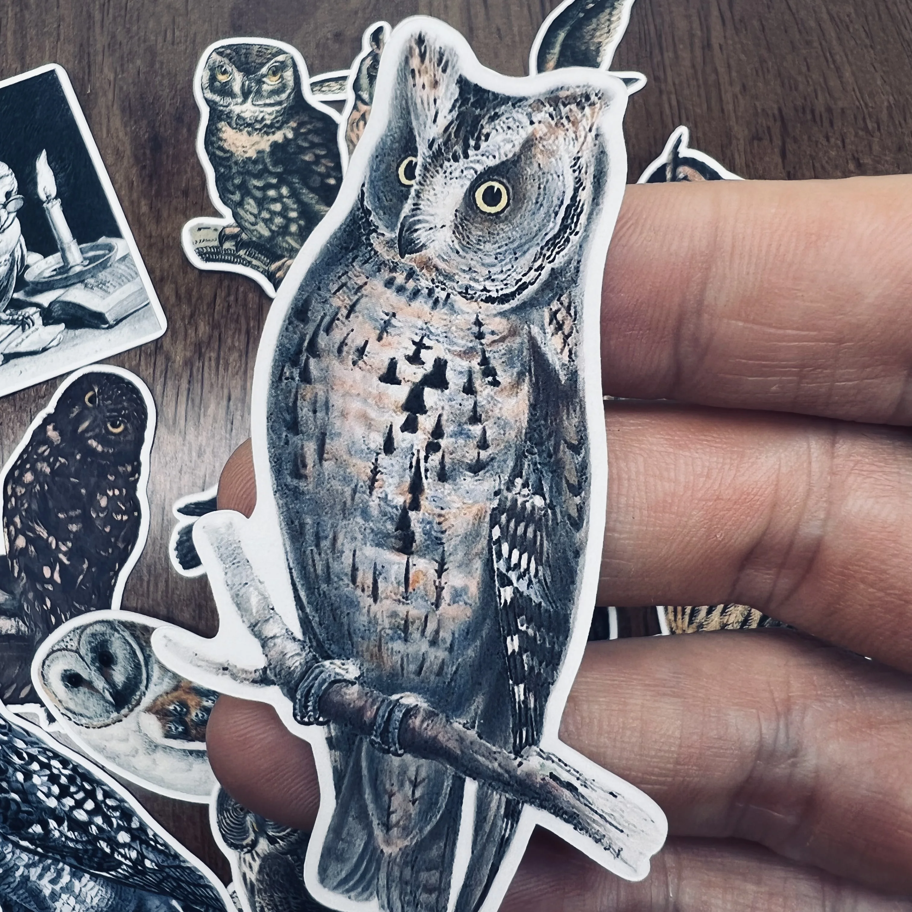 Decorative Stickers Junk Journal Retro Owl Stickers for DIY Scrapbooking