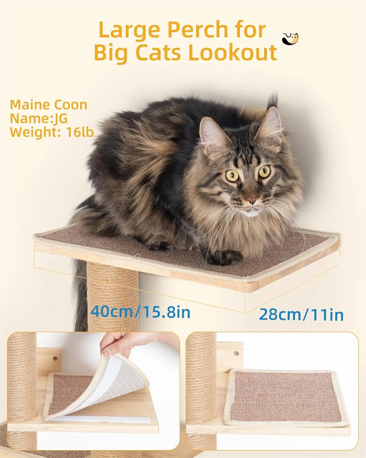 80″ Tall Floor-to-Ceiling Cat Tree – Wall-Mounted Tower with 15.8″ Top Perch for Large Cats
