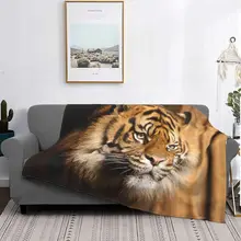 

Bengal Tiger King Blankets Flannel Print Animal Lovers Portable Super Warm Throw Blanket for Bed Outdoor Rug Piece 09