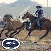 Horse Training Lunge Training Horse Equine Ergonomic Lunge Lead Rope Horse Riding Enthusiasts Precision Exercise Lunge Rope For 5