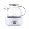 220V 1L Electric Health Preserving Pot Glass Water Boiling Kettle Teapot Fruit Tea Dessert Cooking Pot Multi Cooker 5