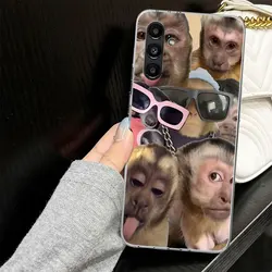 Monkey Memes Fun Phone Case - Vibrant and Durable Protection Cover - Samsung A24 (BG141 - 7)