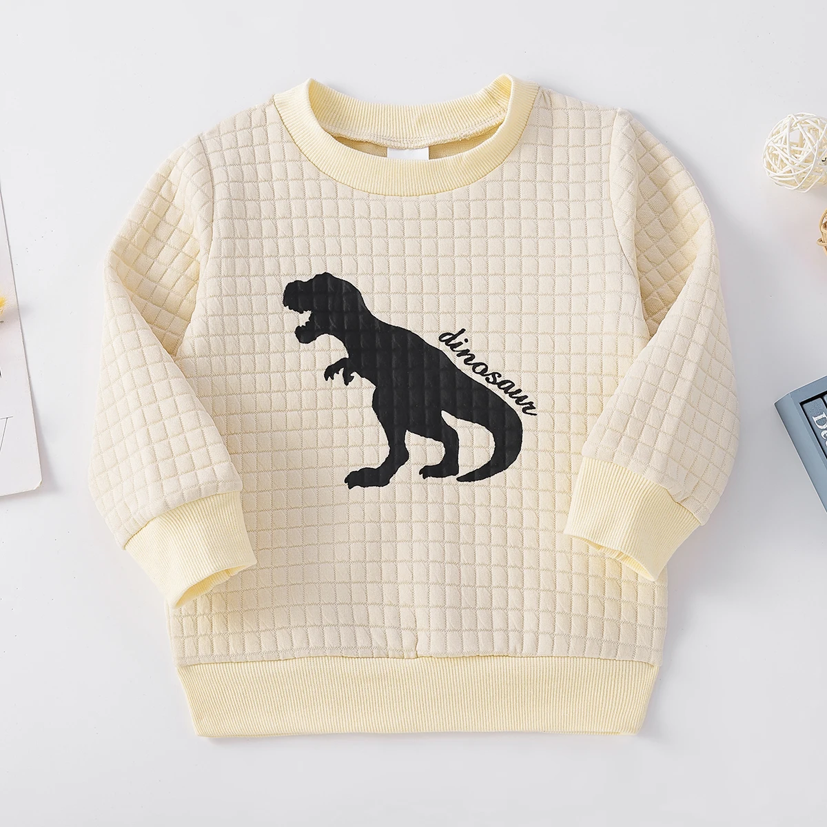 Sudadera con capucha texturizada con estampado de dinosaurio y letras para niño pequeño de PatPat