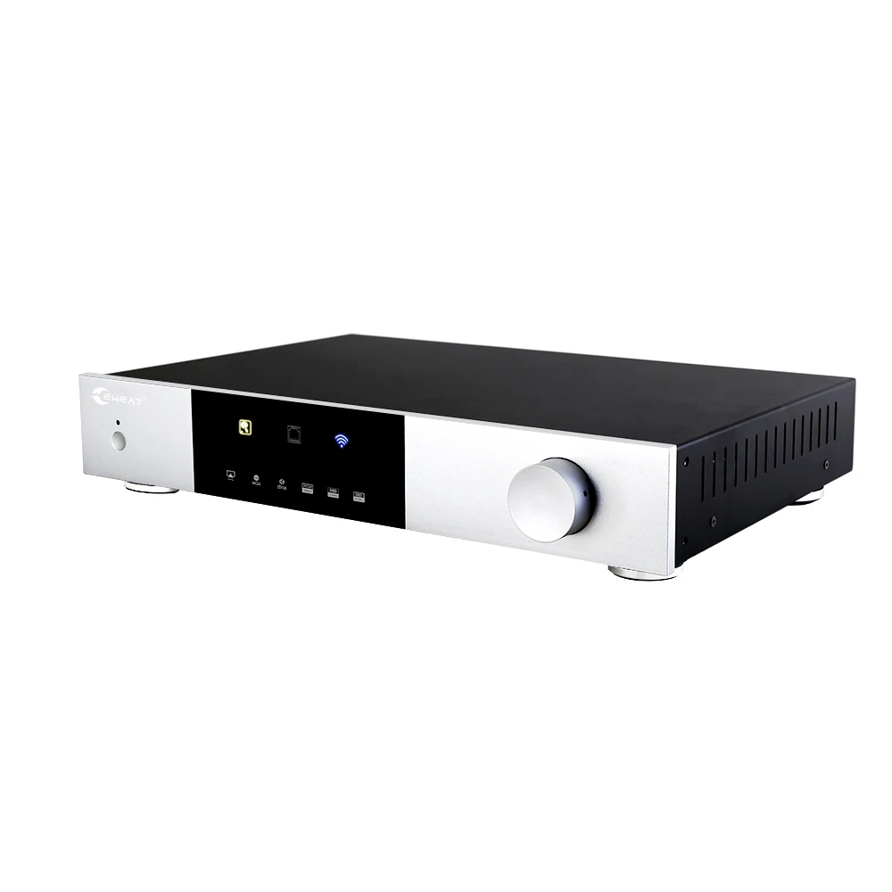 ¶   Ʈ DSD PCM AKM 4493EQ Ĩ Ʈũ ÷̾ dac,  Ʈ NAS DLNA, 3.5 ġ SATA HDD 