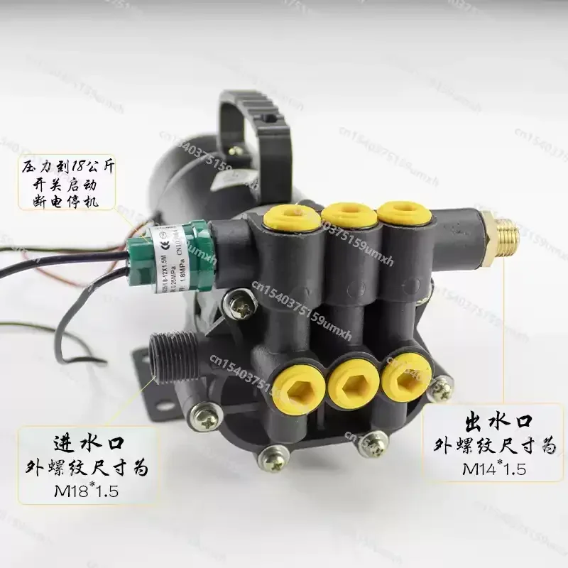 12V 48V 60V 120W Pesticide High Pressure High Power Pump Three-cylinder Pump Portable Type DC Electric Pesticide