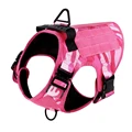 Pink Harness