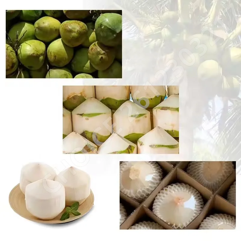 Best Price Fresh Coconut Peeler Machine Commercial Coconut Peeling Maker Automatic Trimming Maker Tender Peeler