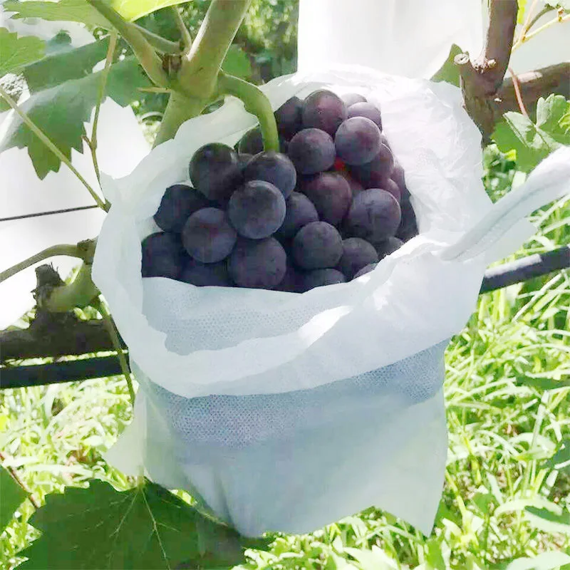 50Pcs 식물 성장 가방 과일 보호 가방 포도 묘목장용 부직포 해충 방제 조류 방지 패브릭 가방 원예 보호 가방