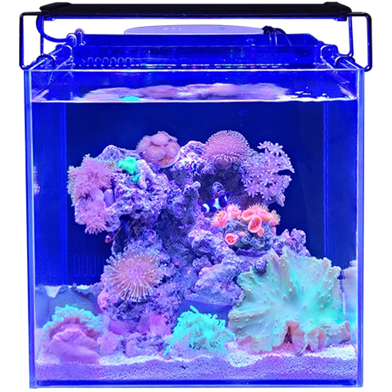 

1Fish Tank Aquarium Fish Globe Glass Small Desktop Home Medium and Large Rectangular