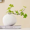 Creative Irregular Ceramic Vase Minimalism Flower Pots Desk Decoration Flowers Arrangement Floral Vases Room Aesthetic Decor 4