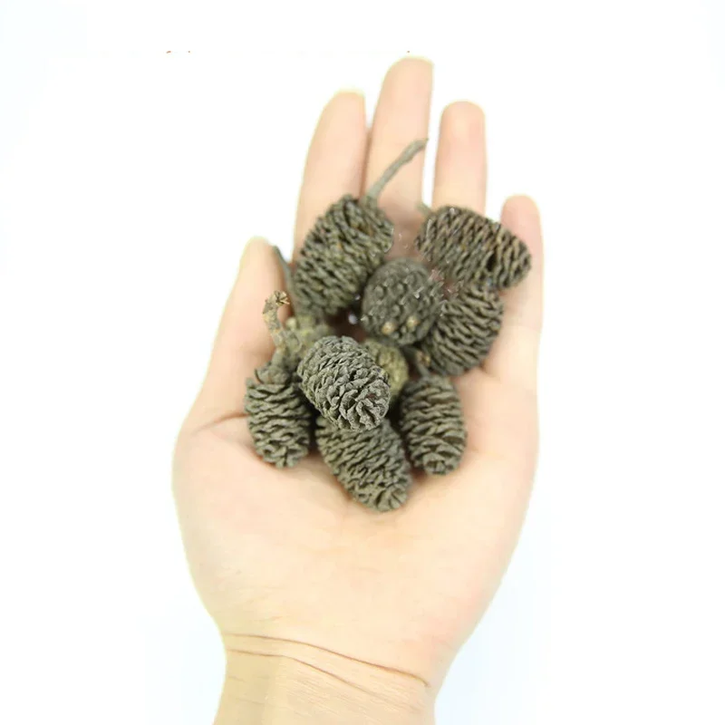20pcs/lot Alder Cones Anti-Bacterial PH Minus Water Treatment Fish Shrimp Tank Aquarium 3