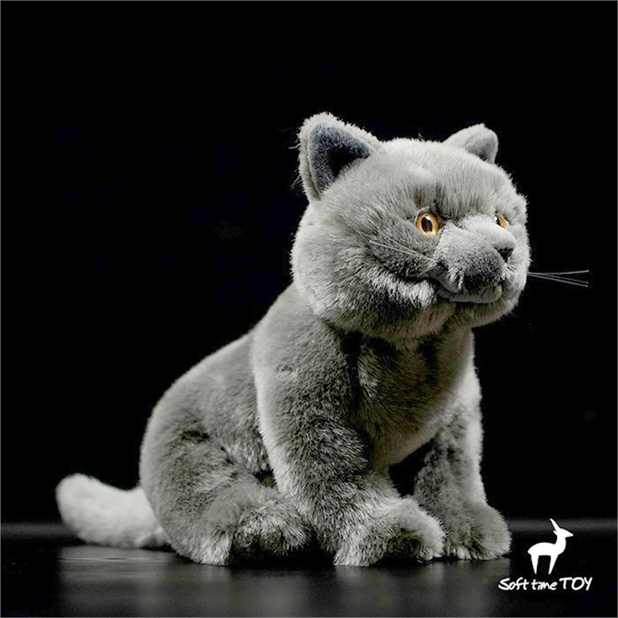 British Shorthair Blue Cat Plush Toy High Fidelity Cats Plushie Felinae Peluche Lifelike Simulation Stuffed Animals Doll Kids 2
