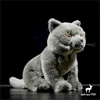 British Shorthair Blue Cat Plush Toy High Fidelity Cats Plushie Felinae Peluche Lifelike Simulation Stuffed Animals Doll Kids 2