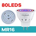 MR16-80Leds