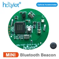 Holyiot NRF52810 Bluetooth Beacon Tag Optional Accelerometer Sensor BLE 5.0 Module Low Power Consumption Ble lbeacon Eddystone 1