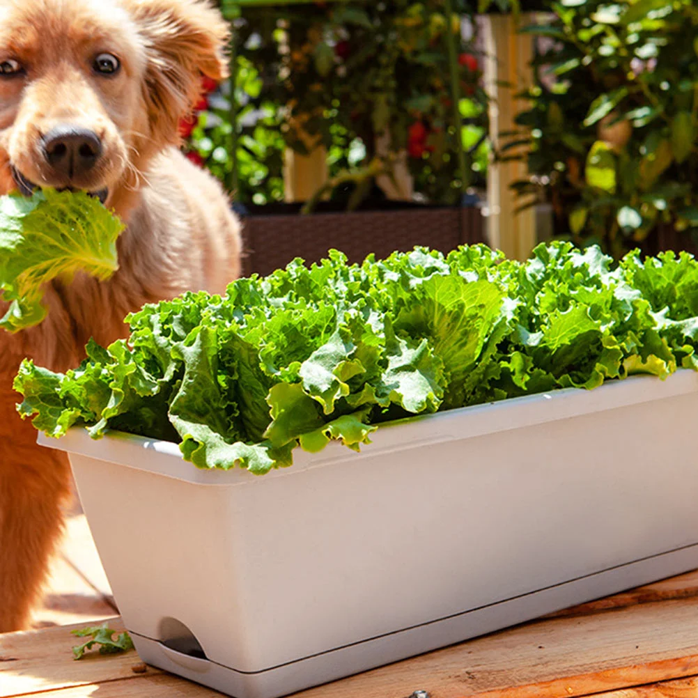 

Vegetables Flower Planting Basin Rectangular Planting Trough Flower Pot Resin Plant Pot Household Flower Pot Planting Basin