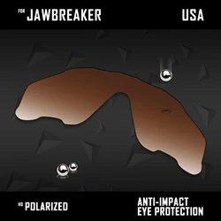 Premium Polarized Replacement Lenses for Sunglasses - Multiple Color Options (Brown Gradient)