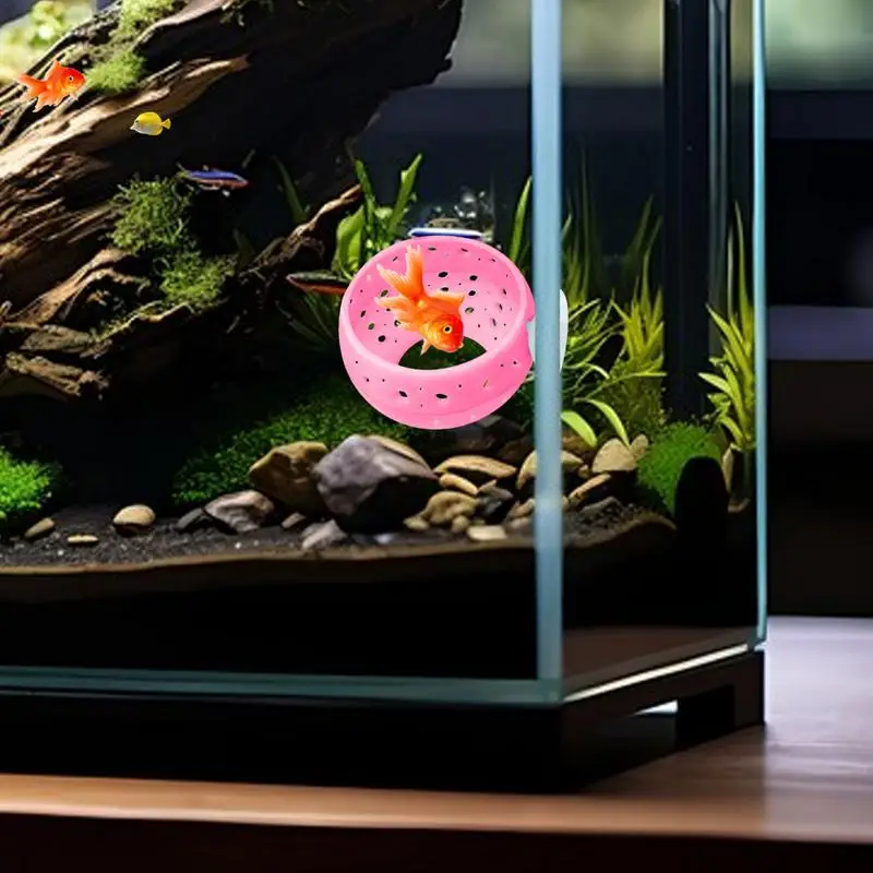 Betta Tunnel Aquarium Cave With Safe Hollow Design Red Shrimp Live Plants Fish Tank Holder Hammock Planter Small Fish And Shrimp
